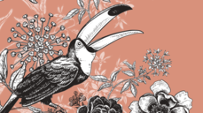 인연을 묶어주는 운명술사, 샤먼 미샤의 짝사랑 30문답