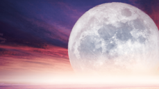 현생의 환경과 조화를 이루고 에너지 레벨을 높이는 방법