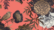 그 사람은 낮져밤이? 밤져낮이? 섹슈얼 운명 가이드