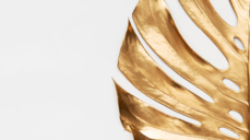 핵심을 관통하는 본심! 그 사람이 좋아하는 사람