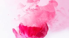 기적의 감정! 일본을 뒤흔든 적중력으로 미래 예언!