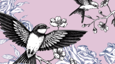 최신 운세 20문 20답! 영감이 전하는 짝사랑 상대의 속마음