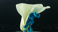 언제까지 괴로워 해야 할까? 짝사랑이 움직이는 순간