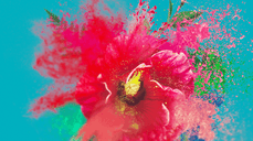 즉문즉답! 2026년 당신과 대연애를 할 사람은?