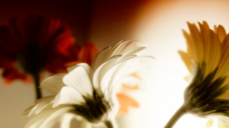 2026년, 두 사람의 사랑은 이렇게 된다! 기적의 짝사랑