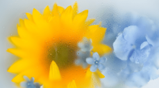 최신 운세 앞으로 일어날 운명의 새로운 전개, 기적이 일어날까