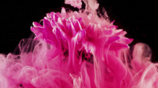 최신 운세 지금 진지 모드로 당신과 연인이 되고 싶은 사람이 있다?