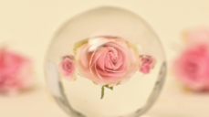 현대 마녀가 폭로하는 2026년, 짝사랑 상대의 심리 변화