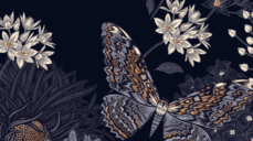 최신 운세 샤먼의 눈으로 보다! 짝사랑, 어느 쪽으로 기울까?