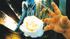 최신 운세 결과론으로 밝힙니다! 두 사람은 맺어질 운명일까