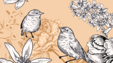 짝사랑 회피하고 싶지 않다면?! 사연 많은 사랑의 운명