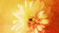 당신의 마지막 연인이자 결혼 상대는 이 사람!