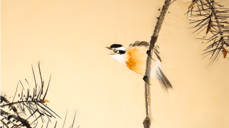 오늘만 할인 무슨 생각을 할까? 지금 이 순간 그 사람의 마음