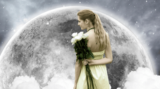 당신의 최고 궁합, 운명적 만남과 연애의 모든 것